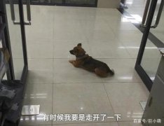 ����(g��)�µ�С���x�_(k��i)���˕�(hu��)��᣺�������t(y��)Ժ���3��(g��)��