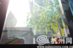 ��γ�ȥ����컨����